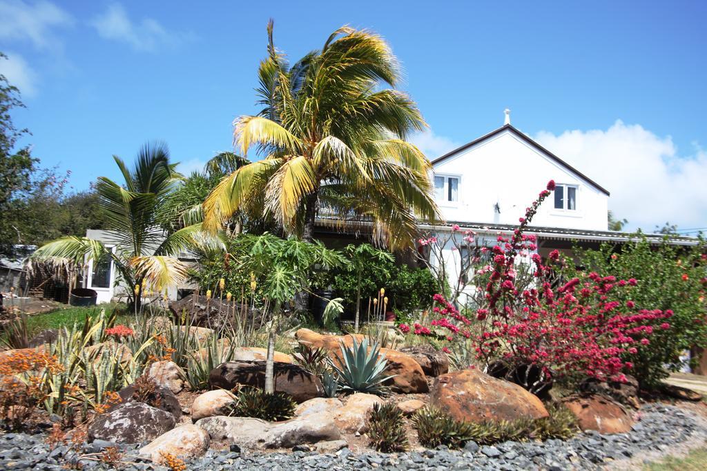 Rodrigues Island Residence Foulsafat المظهر الخارجي الصورة