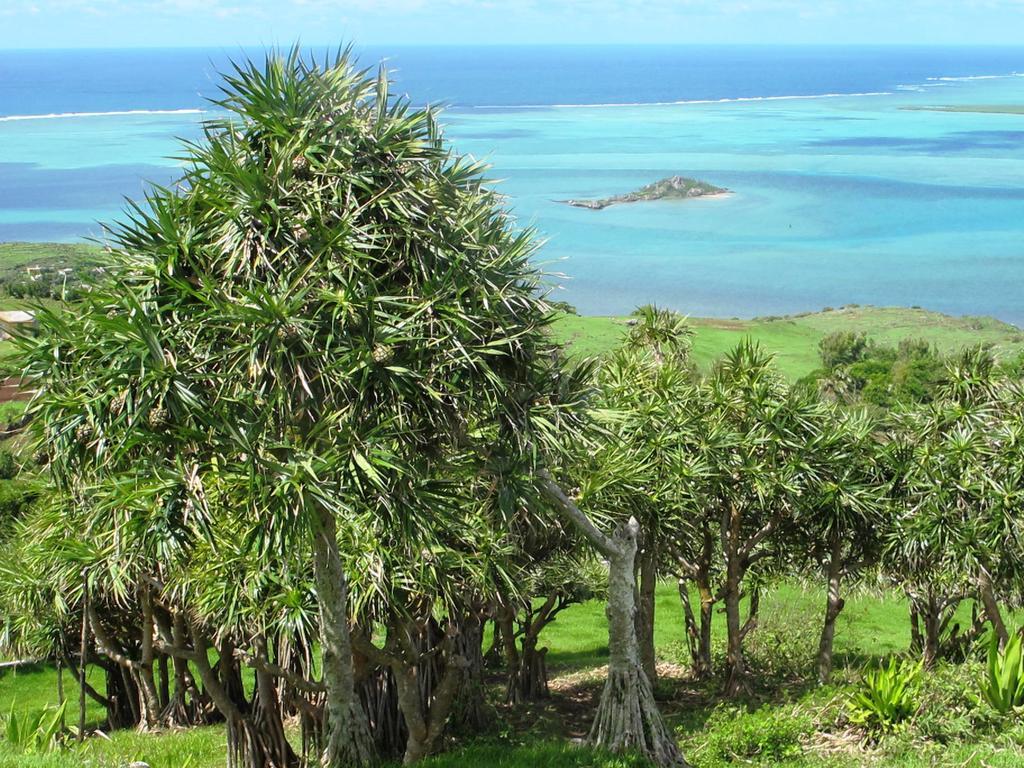 Rodrigues Island Residence Foulsafat المظهر الخارجي الصورة